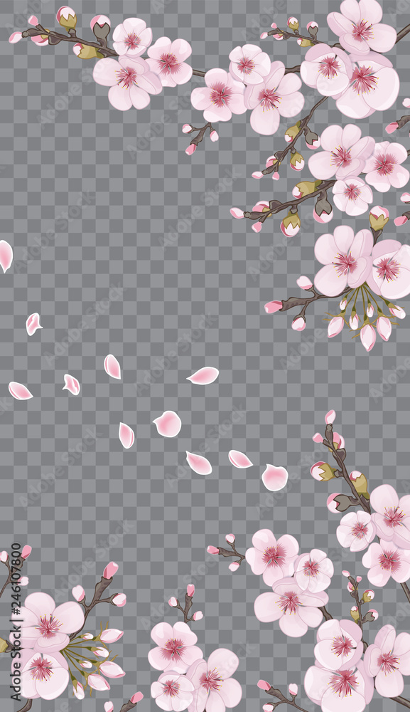 Pink on transparent background. Design element for textiles, wallpaper, packaging, printing, story. Handmade background in the Japanese style. Spring frame vertical of sakura flowers.
