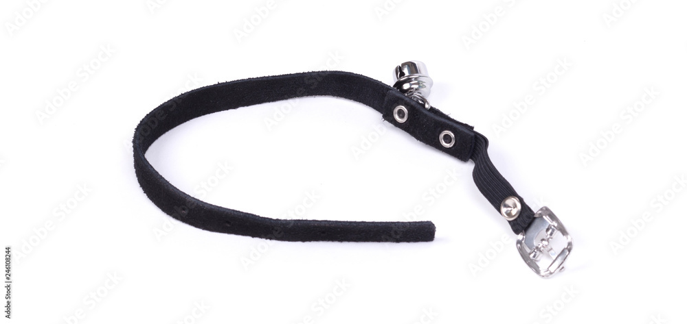 Fototapeta premium Collar cat, isolated