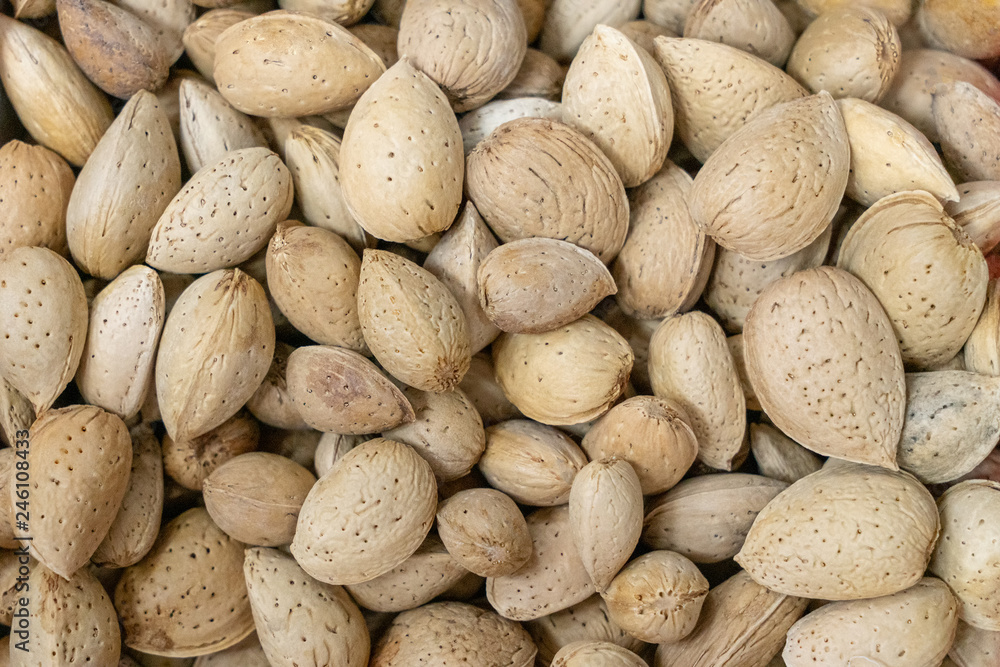 Obraz premium the texture of almonds in the shell