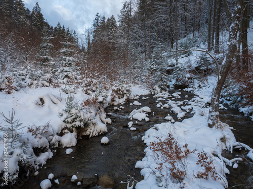 snow covered forest water stream creek with trees, branches and stones, idyllic winter landscape in golden hour sun light