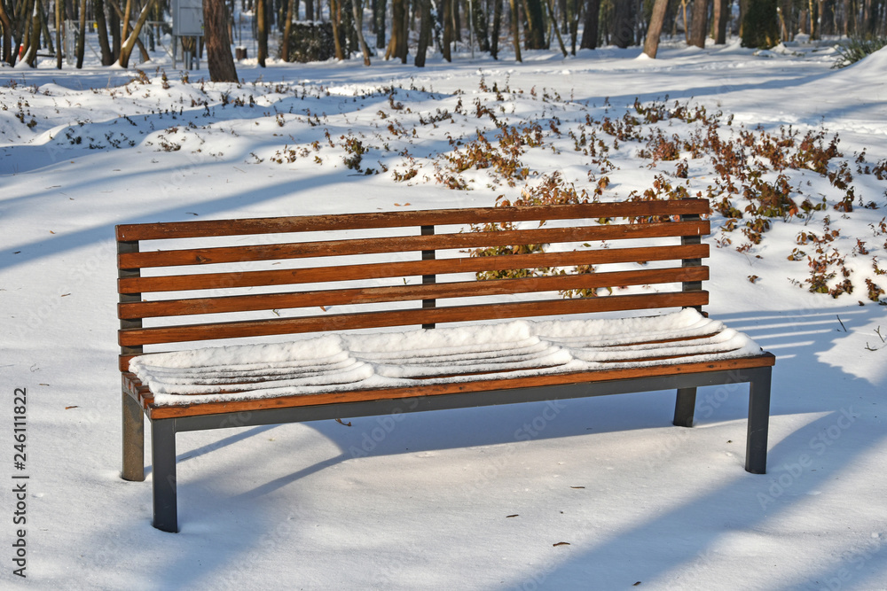 Park bench in the woods winter time