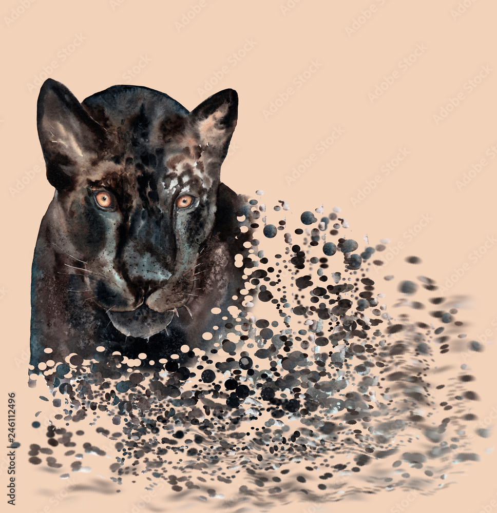 watercolor drawing of a black panther, breaking up into small pieces Stock  Illustration | Adobe Stock
