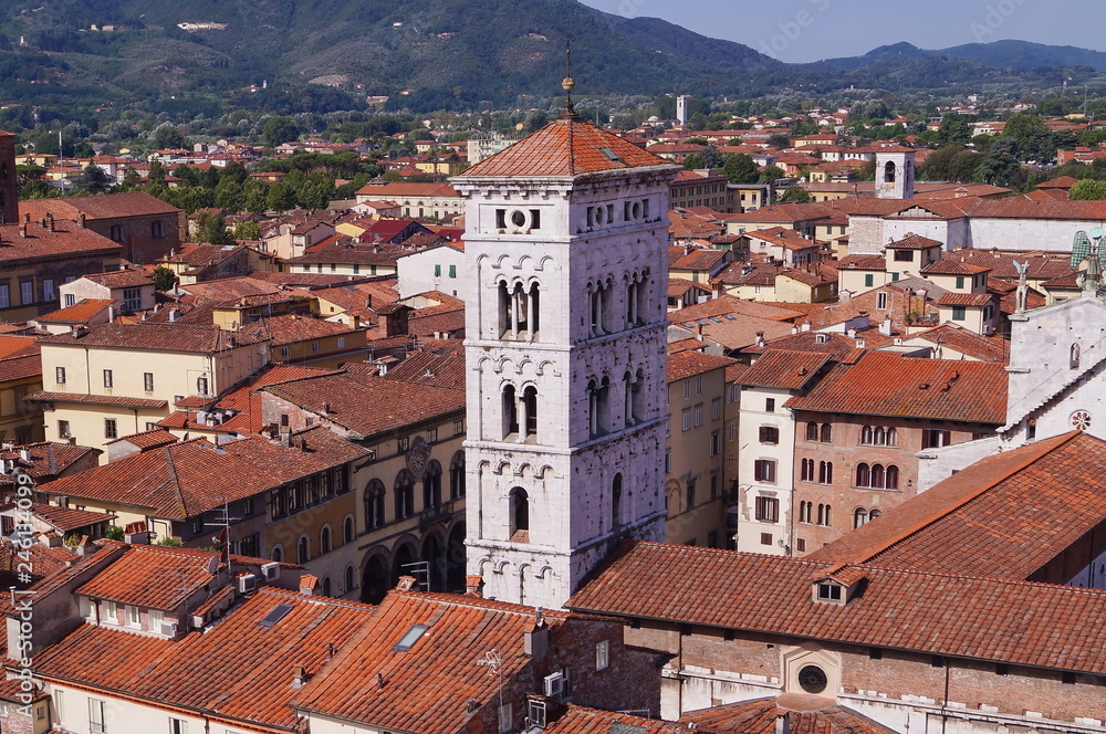 Aerial view from the Clock Tower of Lucca, Tuscany, Italy
