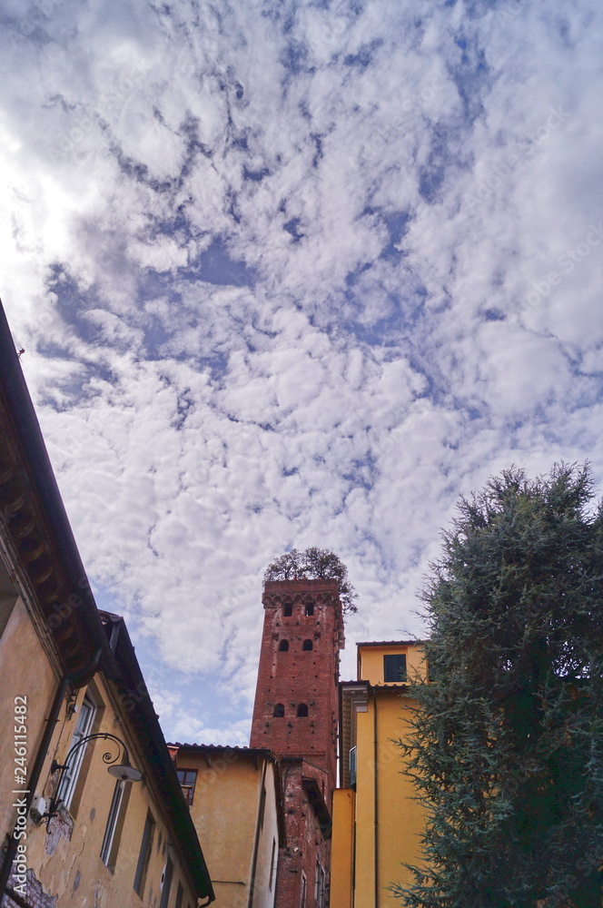 Guinigi Tower, Lucca, Tuscany, Italy