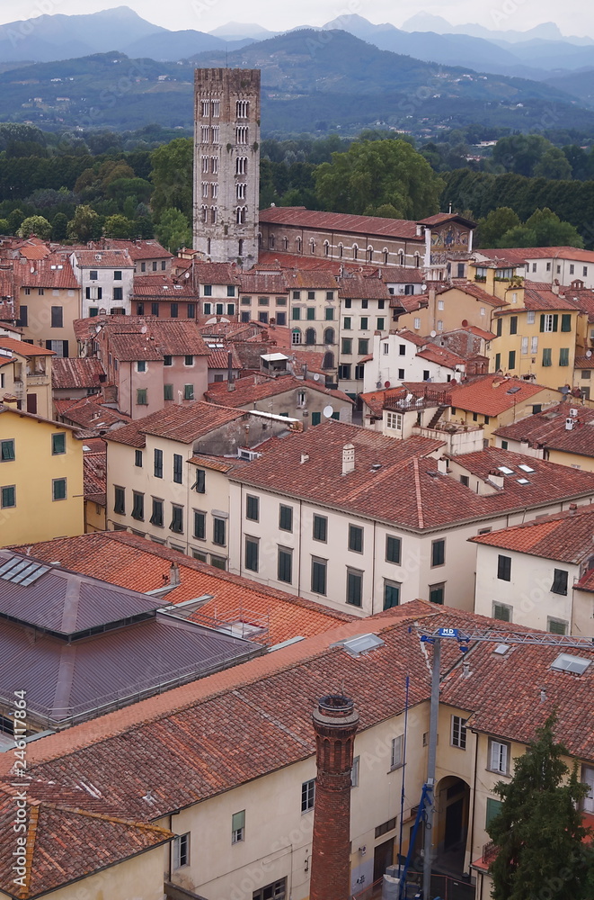 Aerial view from the Guinigi Tower of Lucca, Tuscany, Italy
