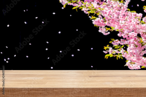 Cherry blossom tree in spri...