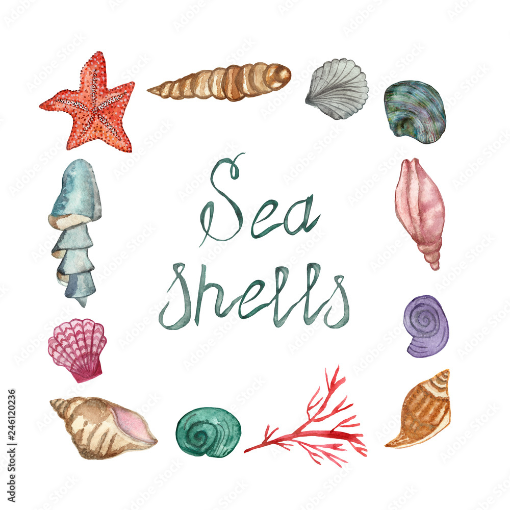 A set of sea shellfish painted in watercolor, isolated on a white background, with a calligraphic inscription. Hand painted for beautiful invitation design, greeting cards, posters and bags. A set of sea shellfish painted in watercolor, isolated on a white background, with a calligraphic inscription. Hand painted for beautiful invitation design, greeting cards, posters and bags.