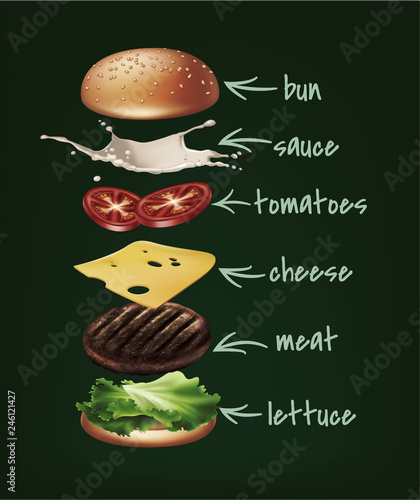 Vector illustration of burger ingredients, exploded hamburger with lettuce, patty, tomatoes, cheese, cucumber and bun