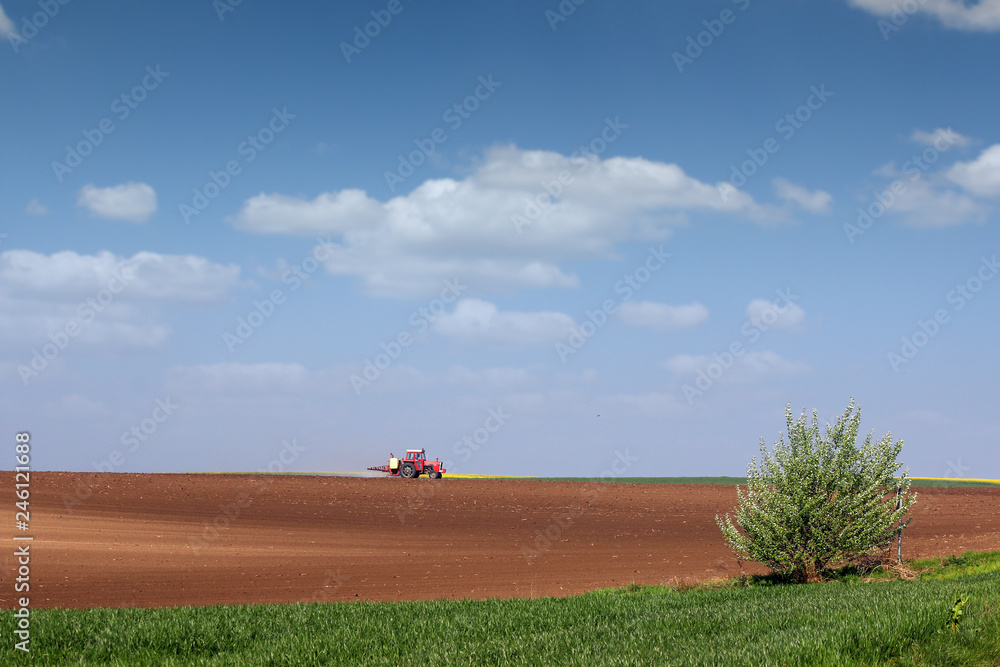 tractor spraying field at spring agriculture landscape