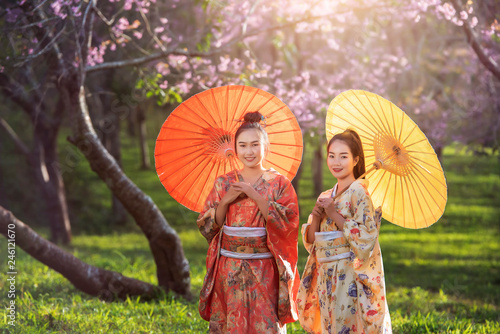 Cute Asian woman wearing Japanese kimono and cherry blossoms in spring  Thailand  Asia