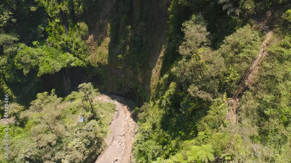 mountain gorge with river and waterfall in jungle. aerial view waterfall rainforest in Java Indonesia. forest with green, lush vegetation. aerial footage mountain gorge with river and waterfall in jungle. aerial view waterfall rainforest in Java Indonesia. forest with green, lush vegetation. aerial footage