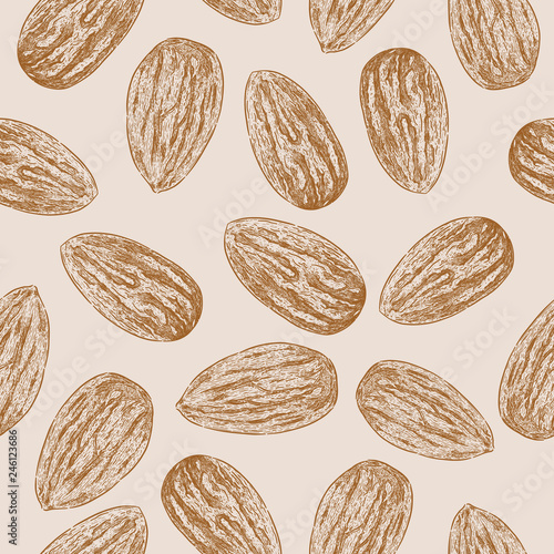 Almond, seamless pattern. Hand draw sketch vector.