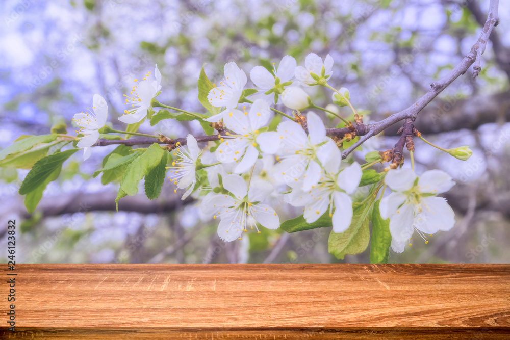 Empty wooden table with spring background of blossoming cherry tree. Can be used for display or montage product