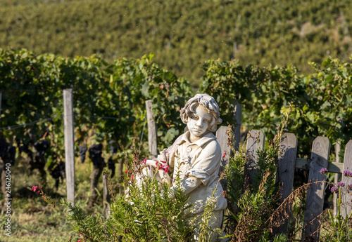 Statue of a boy holding a basket with grapes on the background of vineyards in the Saint Emilion region. France