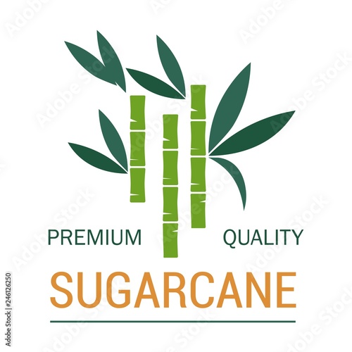 Sugarcane plant production natural organic sugar vector illustration