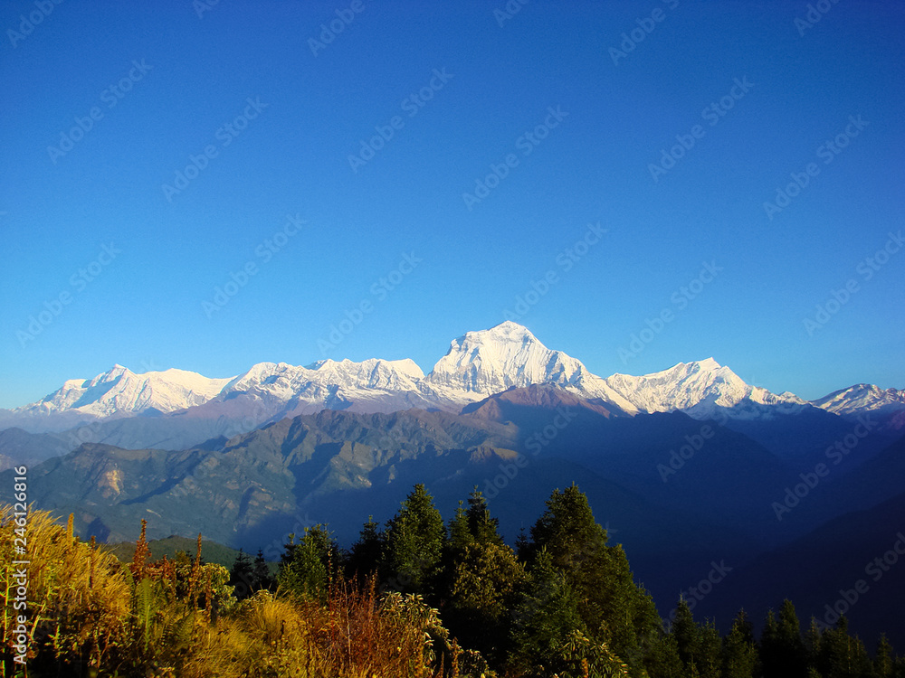 Himalayan landscape with beautiful mountain scene and sky. Snowy mountain tops, fir-trees and dry grass. Trekking route to Annapurna - Nepal, Himalaya.