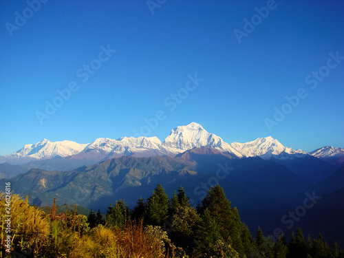 Himalayan landscape with beautiful mountain scene and sky. Snowy mountain tops, fir-trees and dry grass. Trekking route to Annapurna - Nepal, Himalaya.