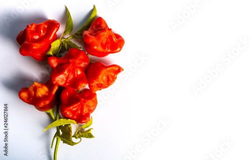Bishop's crown flower shaped decorative peppers