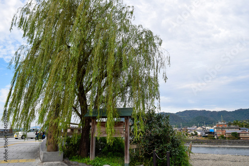 宇治川　風景 photo