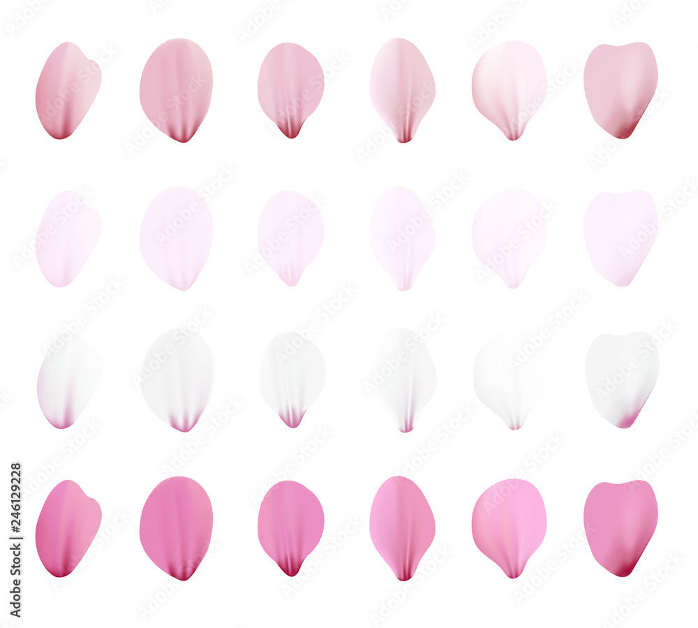 Realistic pink sakura petals icon set. Gradient mesh 3d cherry petals. Vector illustration. Realistic pink sakura petals icon set. Gradient mesh 3d cherry petals. Vector illustration.