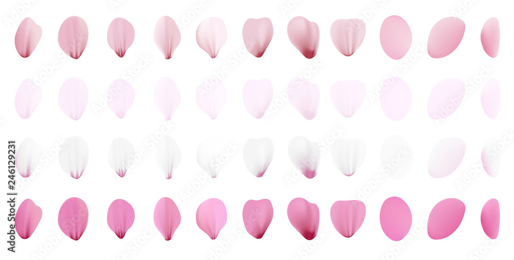 Realistic pink sakura petals icon set. Gradient mesh 3d cherry petals. Vector illustration. Realistic pink sakura petals icon set. Gradient mesh 3d cherry petals. Vector illustration.