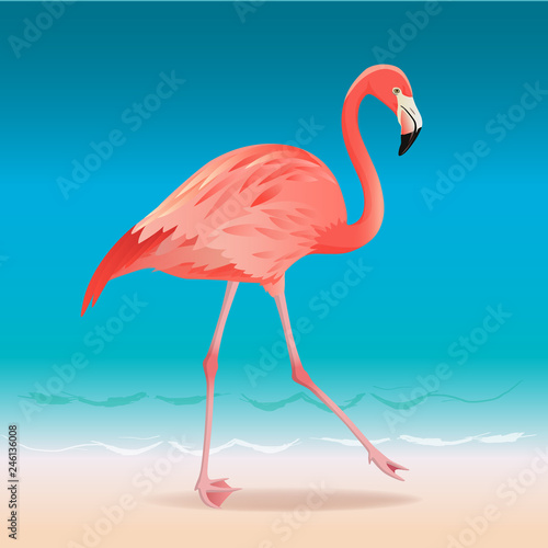 Exotic pink flamingo walking on the hot summer beach. Pink flamingo vector illustration