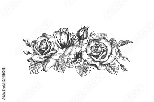 Floral frame. Hand drawn sketch of roses, leaves and branches Detailed vintage botanical illuatration.
