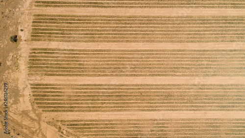Canvas Print Aerial view over an onion seed farm in the karoo region of south africa