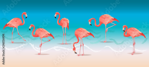 Exotic pink flamingos walking on the hot summer beach. Pink flamingos set vector illustration