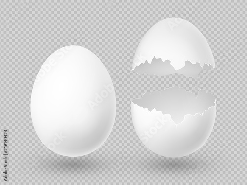 Realistic vector white eggs with whole and broken shell isolated on transparent background illustration