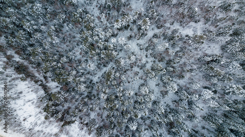 Aerial winter forest above in Russia, snow covered trees