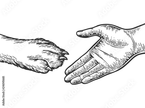 Human hand and dog paw handshake engraving vector illustration. Scratch board style imitation. Black and white hand drawn image.