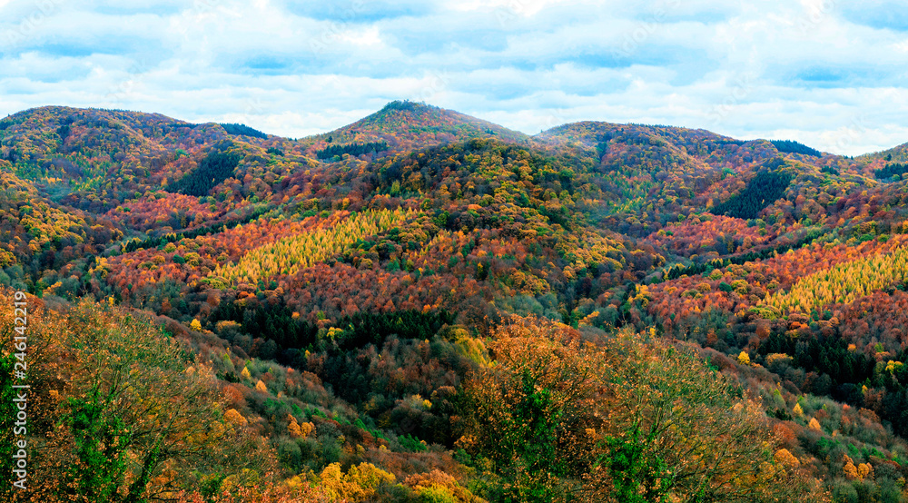 Fototapeta premium German mountains and woods