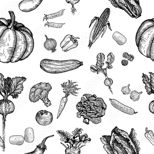 Beautiful hand drawn illustration vegetable.