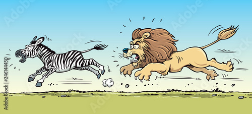 Lion hunting a zebra