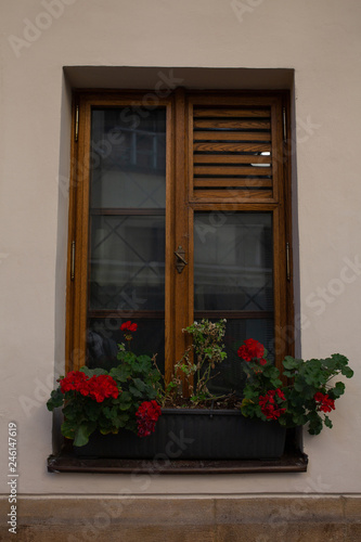 Vintage wooden window with jalousie and flowers outside room