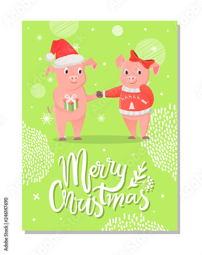 Merry Christmas postcard, piglets symbol of New Year with gift box on green snowflakes. Pig girlfriend and boyfriend in Santa hat and bow exchange presents vector