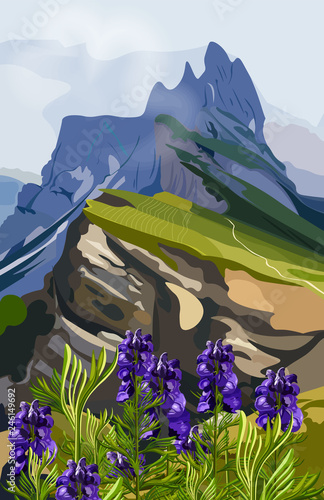 Lavender and mountains hills Vector illustration. Nature backgrounds