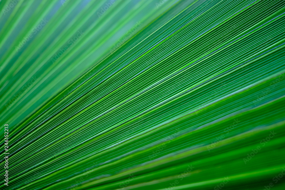 abstract green background abstract green background