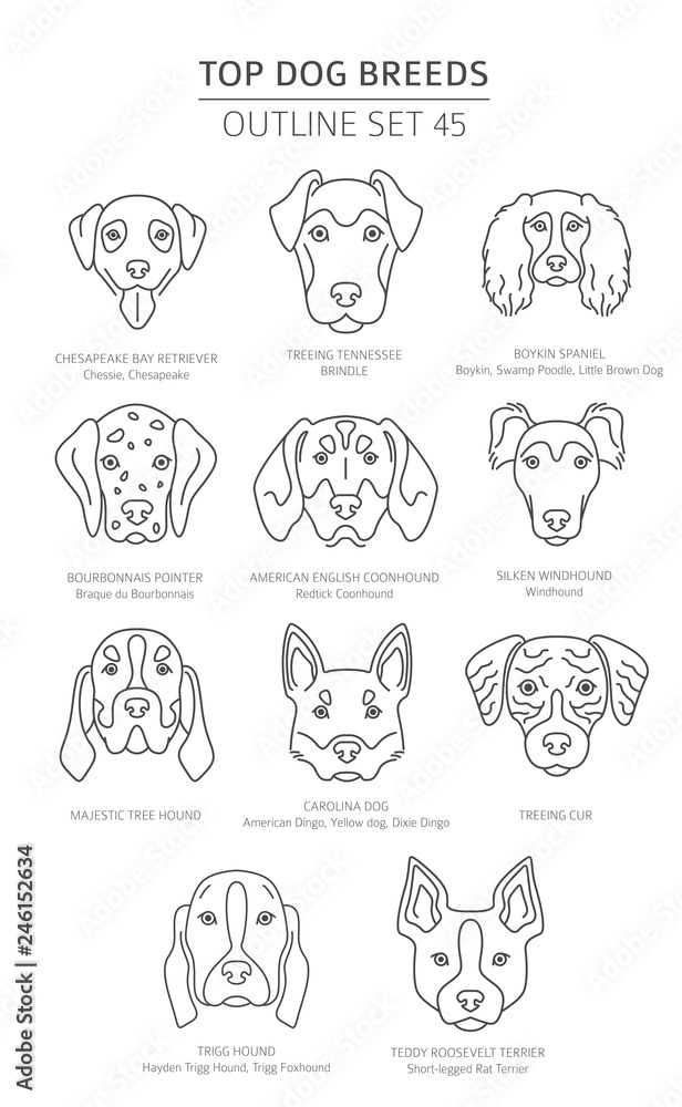 Top dog breeds. Hunting dogs set. Pet outline collection