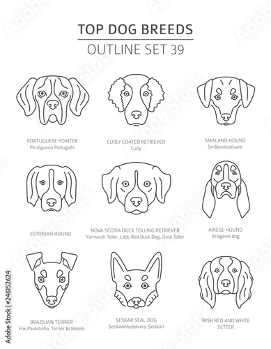 Top dog breeds. Hunting dogs set. Pet outline collection