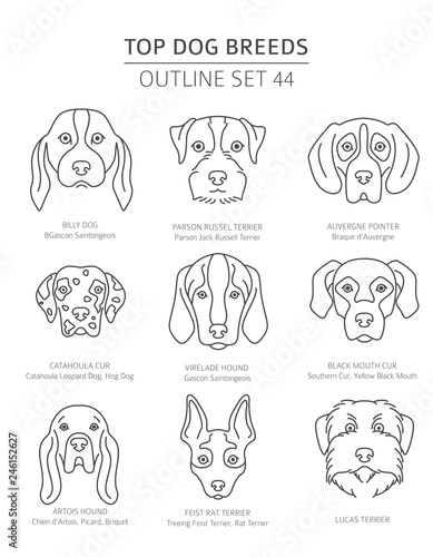 Top dog breeds. Hunting dogs set. Pet outline collection