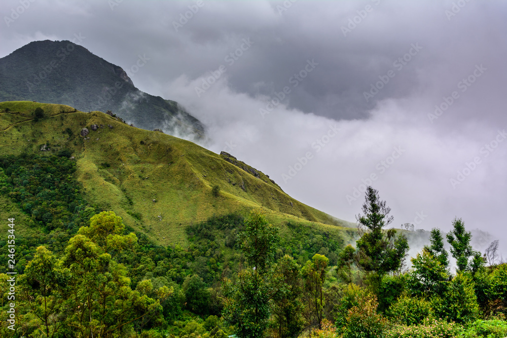 Munnar (also known as tea capital of India) during Monsoon in Kerala, India Stock Photo Adobe