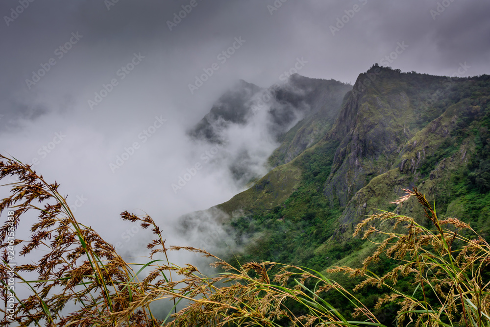 Munnar (also known as tea capital of India) during Monsoon in Kerala, India Stock Photo Adobe