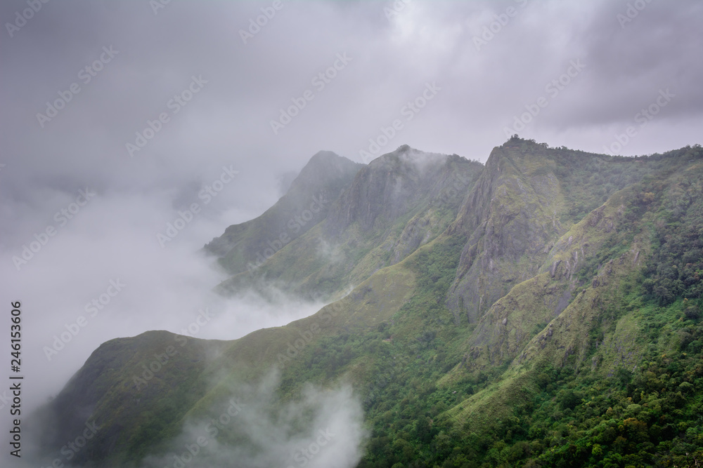 Munnar (also known as tea capital of India) during Monsoon in Kerala, India Stock Photo Adobe