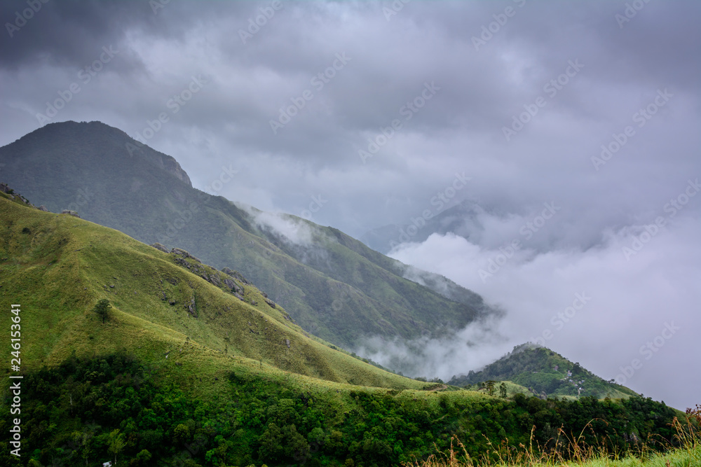 Munnar (also known as tea capital of India) during Monsoon in Kerala, India
