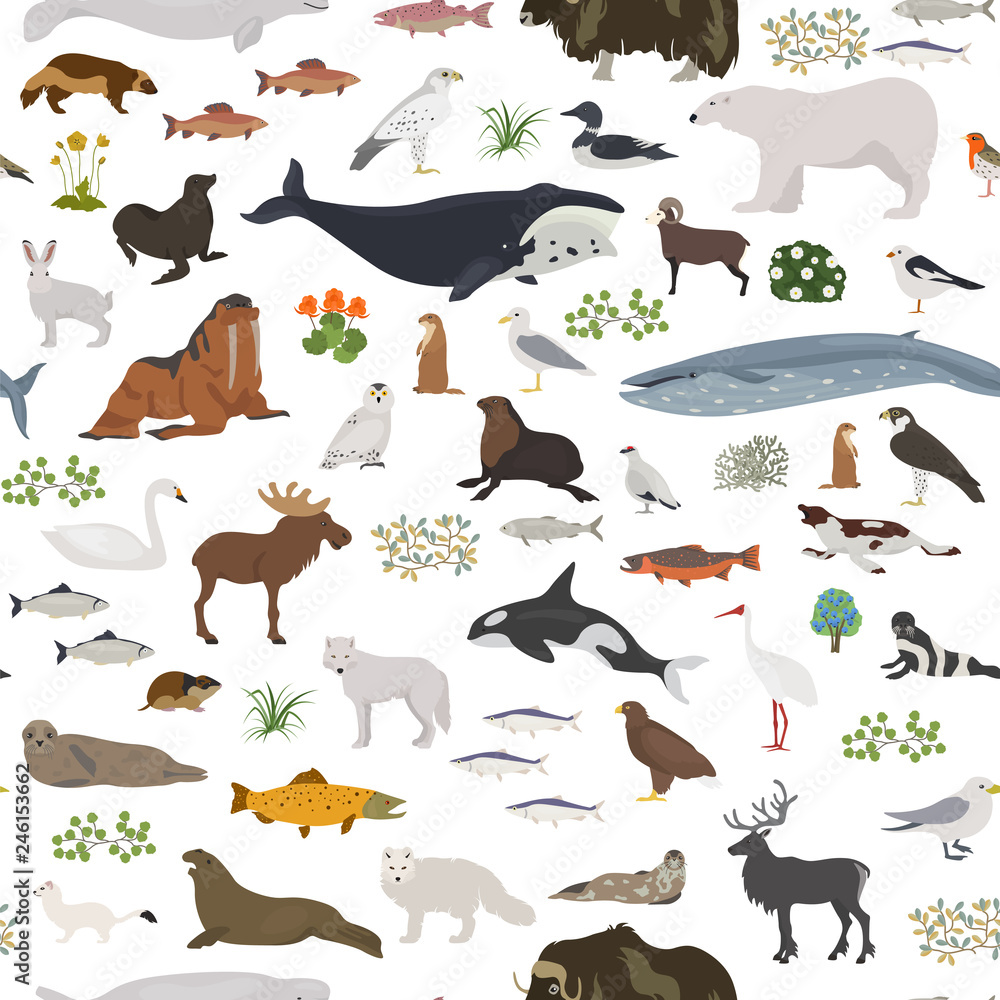 Tundra biome. Terrestrial ecosystem world map. Arctic animals, birds, fish  and plants seamless pattern design Stock Vector | Adobe Stock