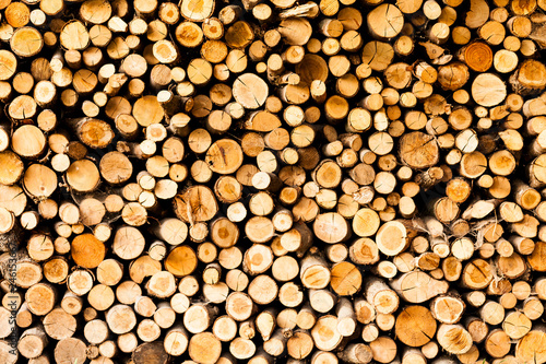 ends of logs wooden background. toning. wood in the stack. - Image