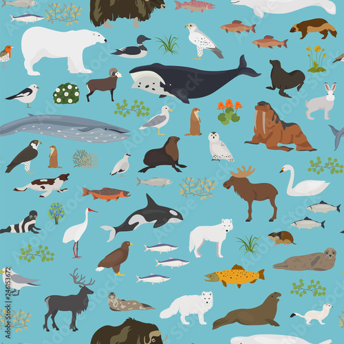 Tundra biome. Terrestrial ecosystem world map. Arctic animals, birds, fish and plants seamless pattern design