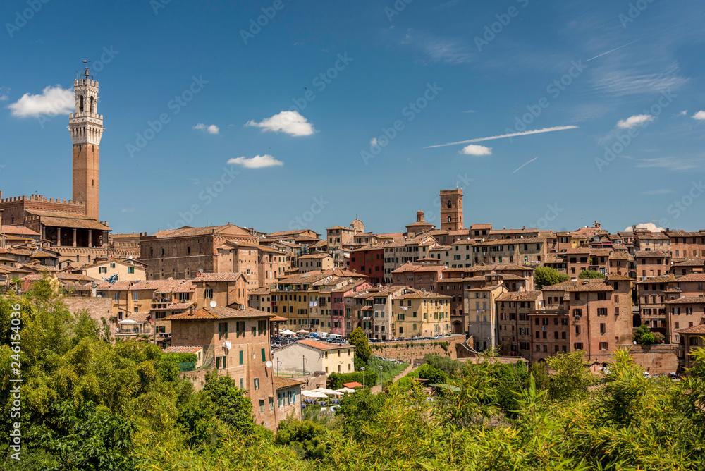 View of Siena from south with the Mangia Tower